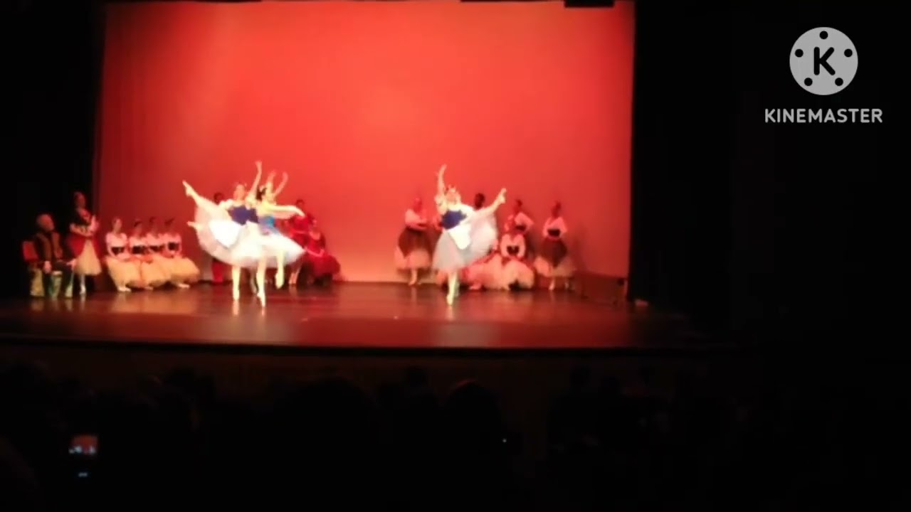 Swan Lake act 3 Hungarian Dance low tone