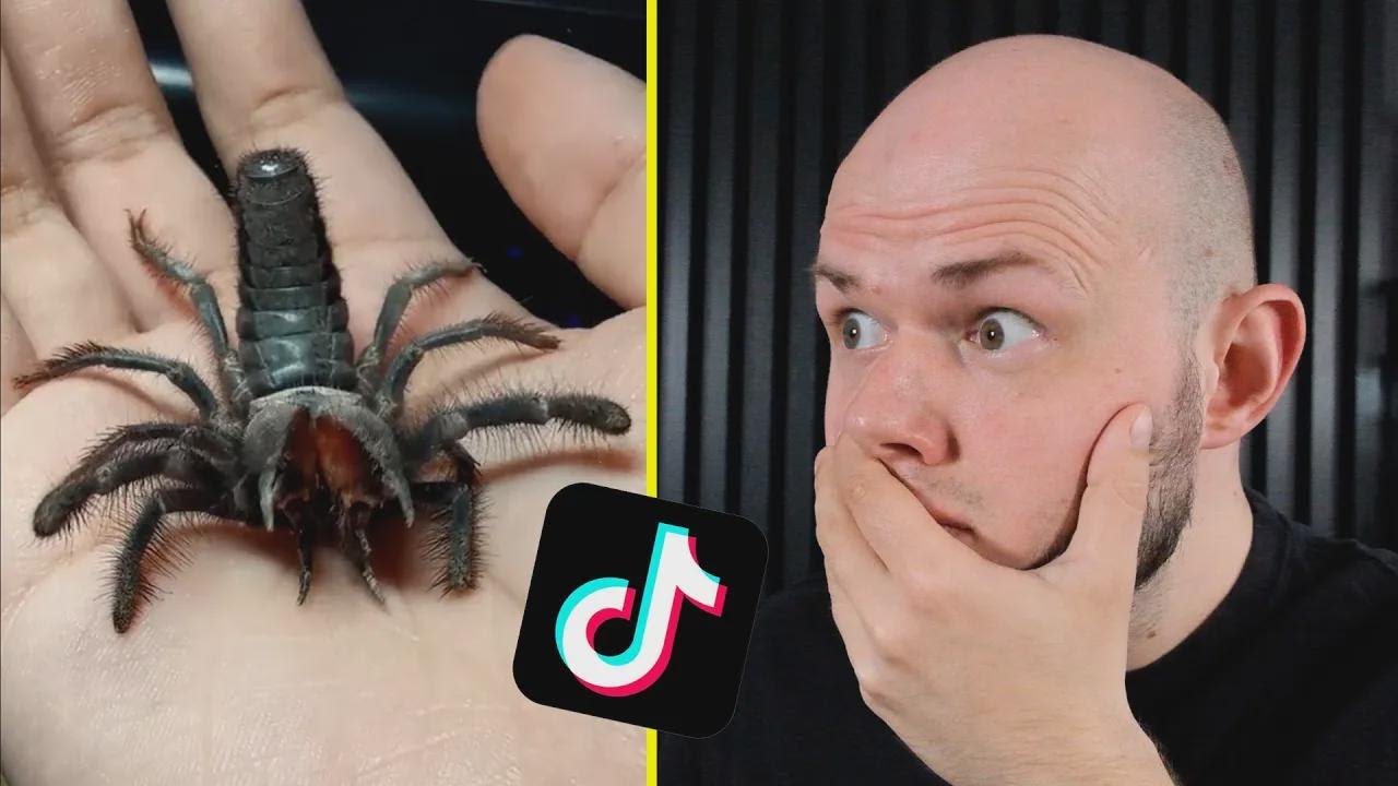 QUE BICHO É ESSE!? REAGINDO AOS VÍDEOS DOS INSCRITOS – PARTE 3