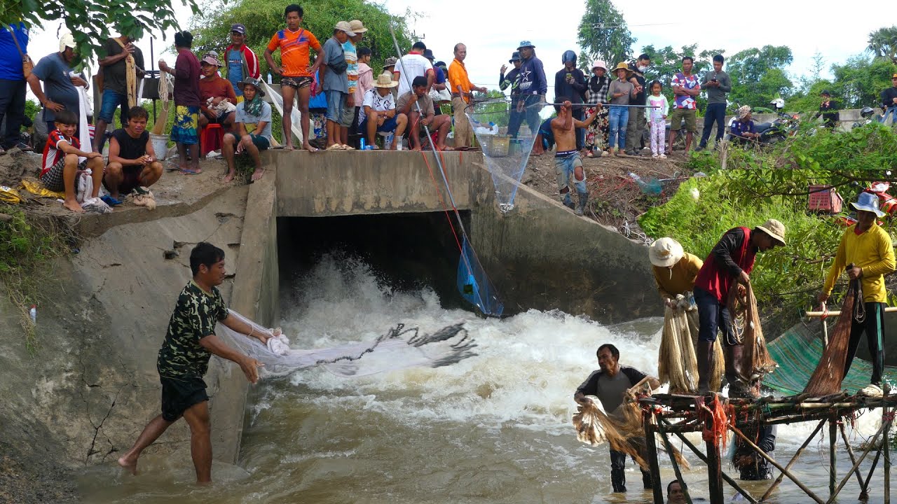 Real Life 100% | Fisherman Cast Net Fishing 7Kg In River At The Countryside.