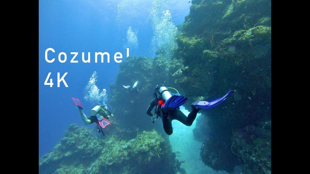 Cozumel Scuba Diving - 4K [2021]