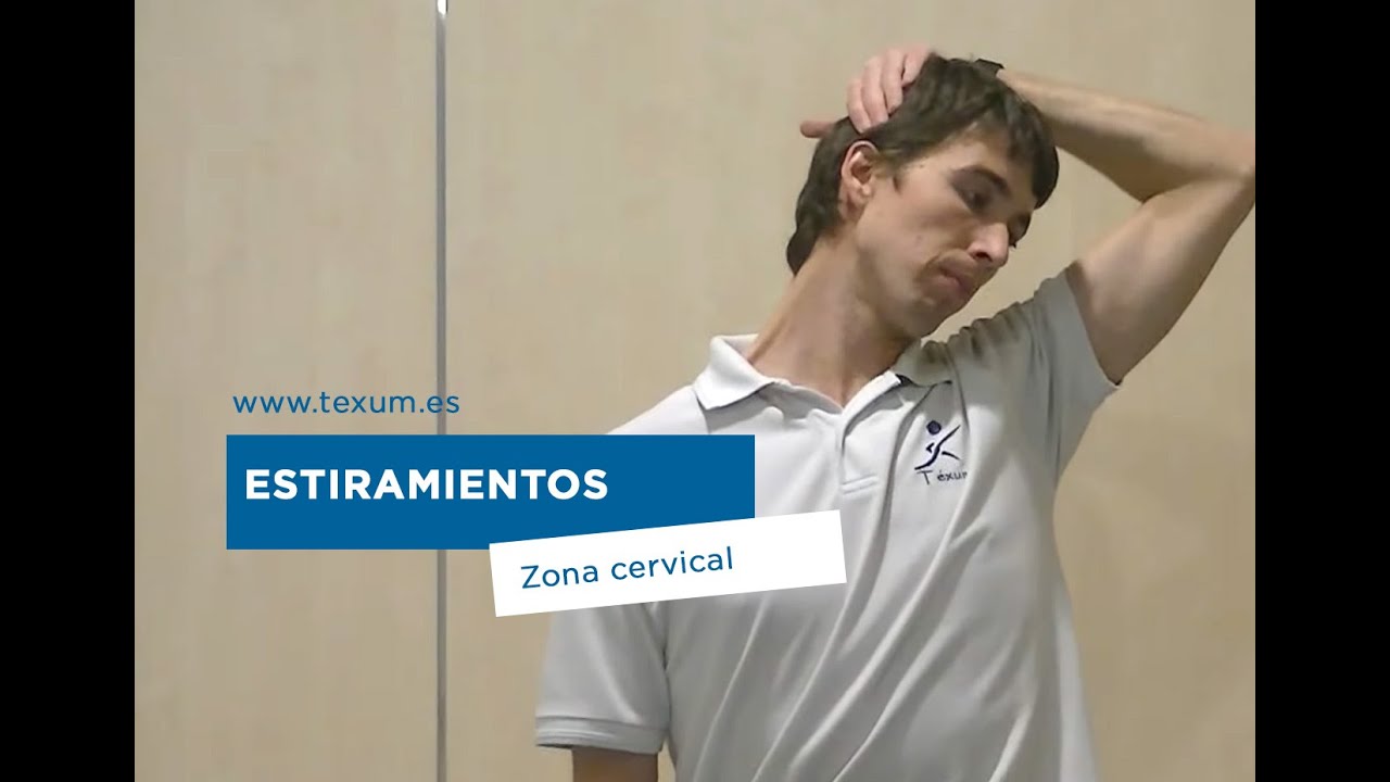 Estiramientos de la Zona Cervical. Los escalenos