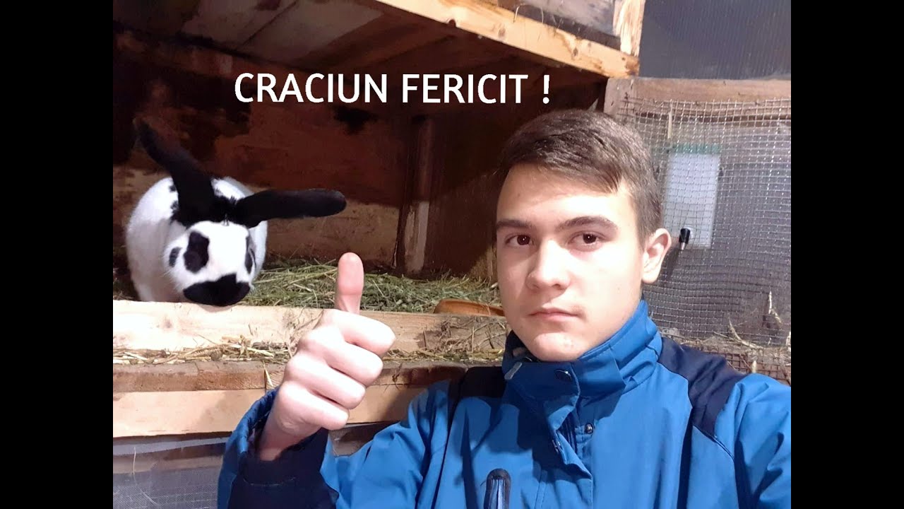 Sarbatori fericite + noutati (Fluture German )