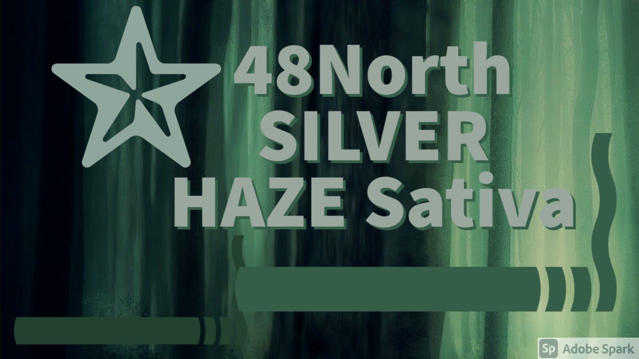 48North Silver Haze Disposable Vape Pen   SATIVA