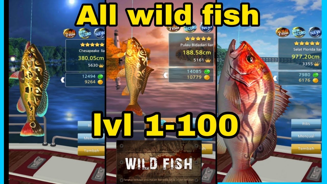 ALL wild fish lvl 1-100 fishing hook kail pancing
