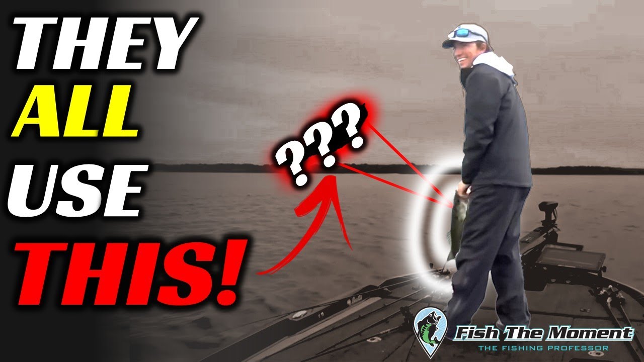 Every 20-Year Old On Tour Is Using This Bait In 2025