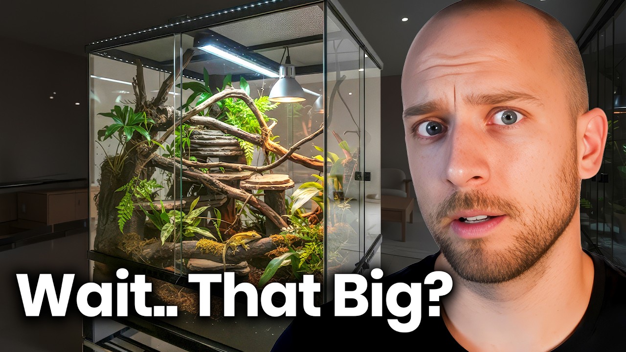 How Big Should a Reptile Enclosure ACTUALLY Be?