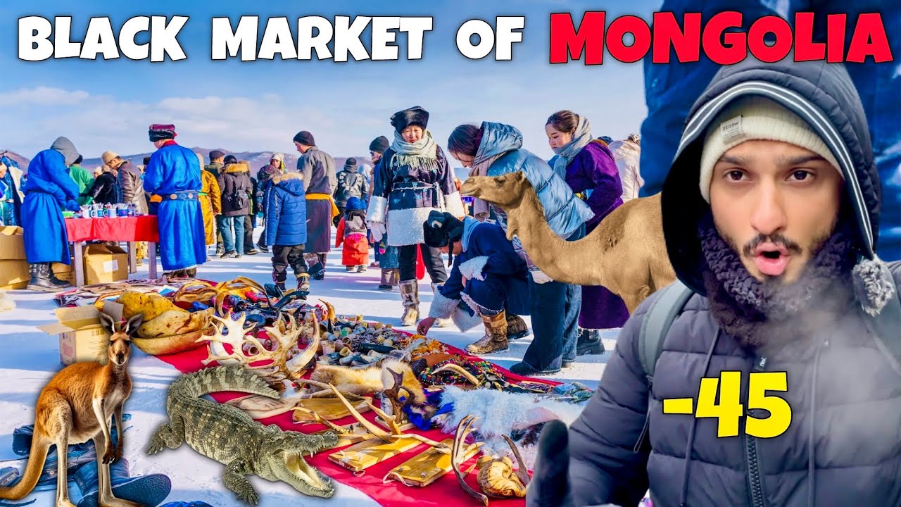 Inside Mongolia’s Frozen Black Market 🇲🇳