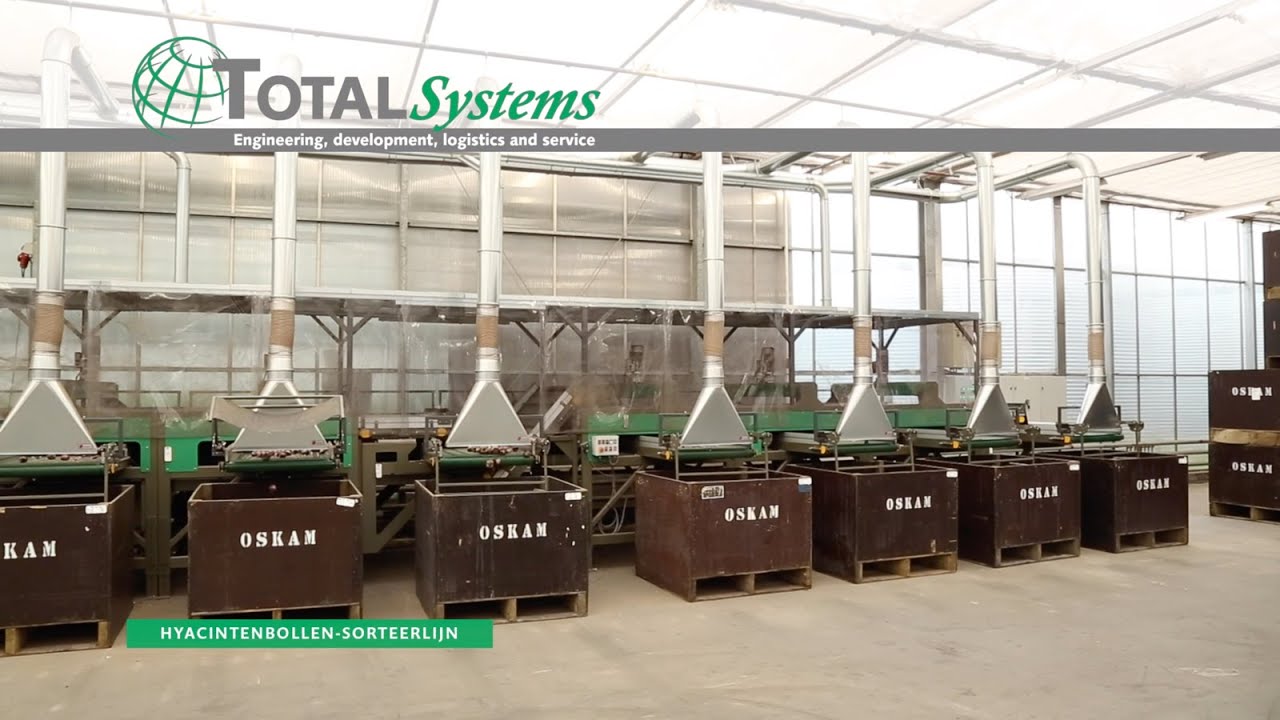 Total Systems hyacintenbollen-sorteerlijn
