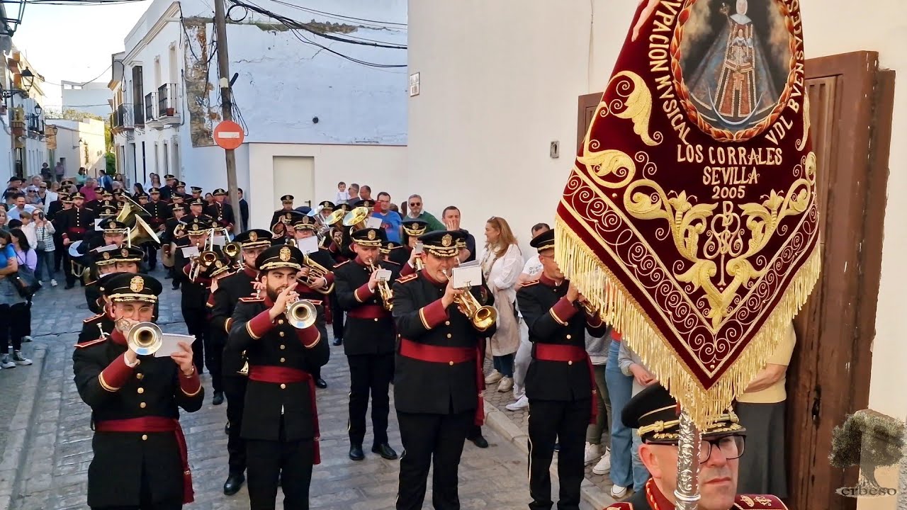 AM Buensuceso (Los Corrales) - Costalero