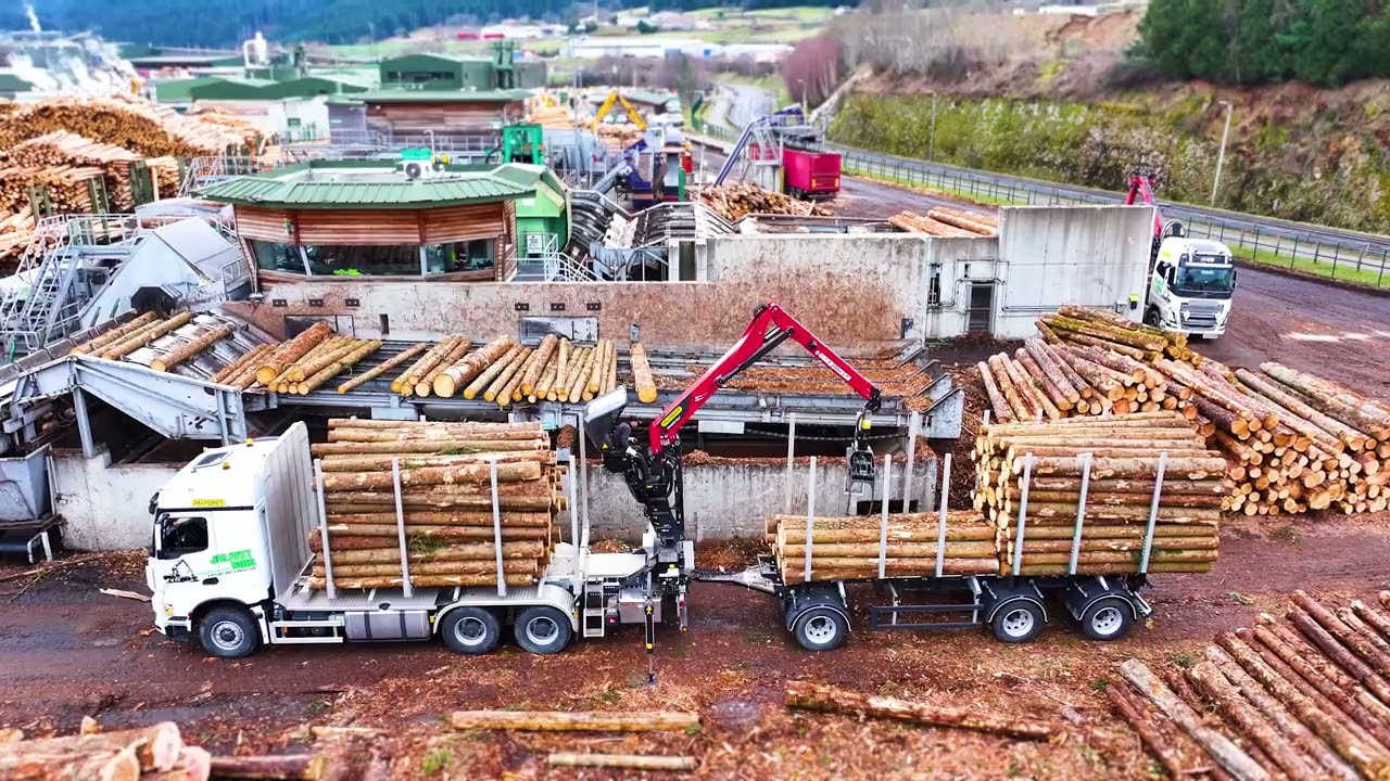 Grue PALFINGER EPSILON TZ17 + Plateau remorque