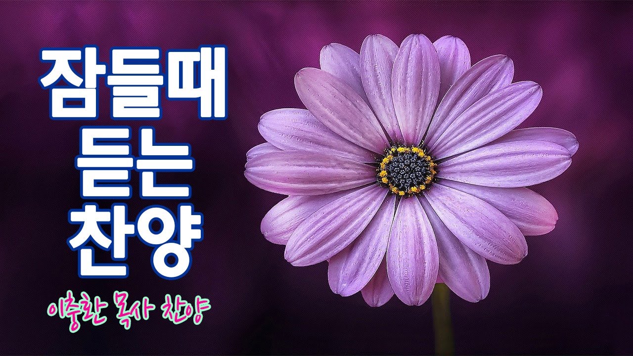 잠들때 듣는 찬양