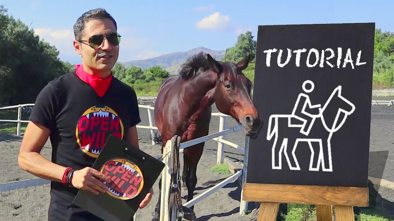 Tutorial Passeggiata a Cavallo al Maneggio Le Pietre Nere