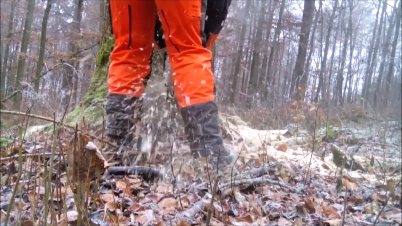 Logging with Stihl MS 461 - Ported