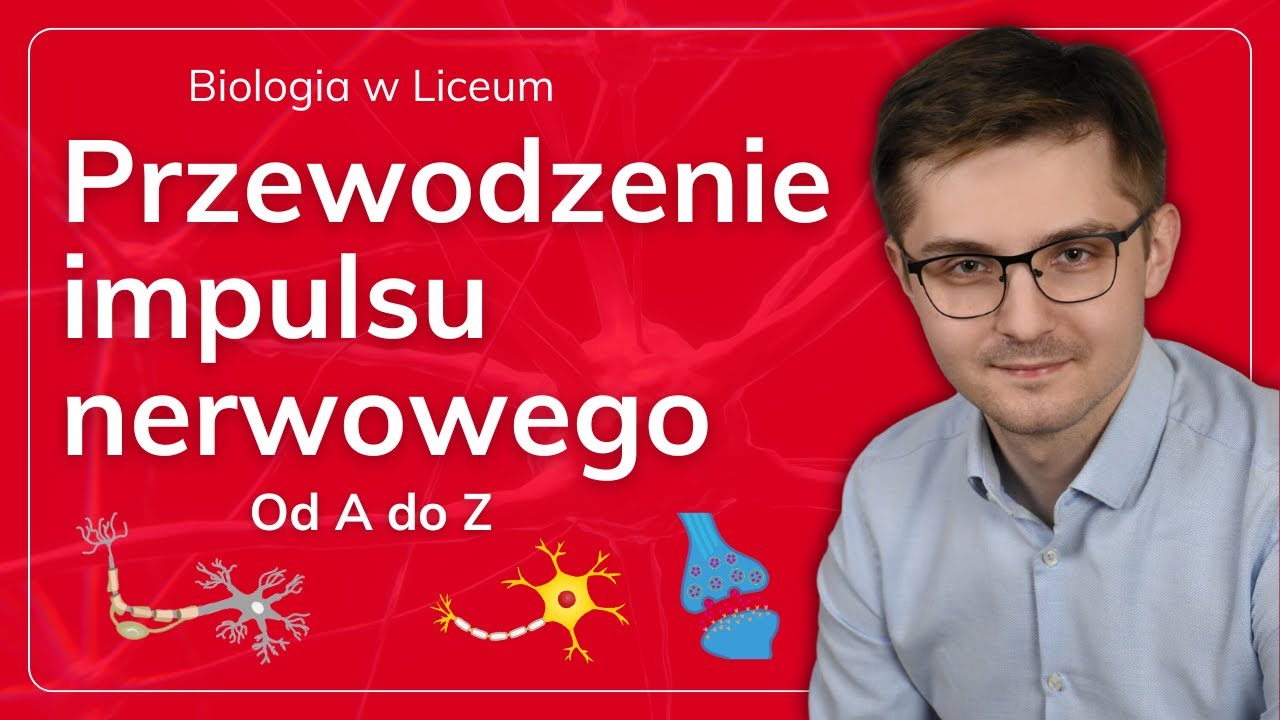 Przewodzenie impulsu nerwowego od A do Z