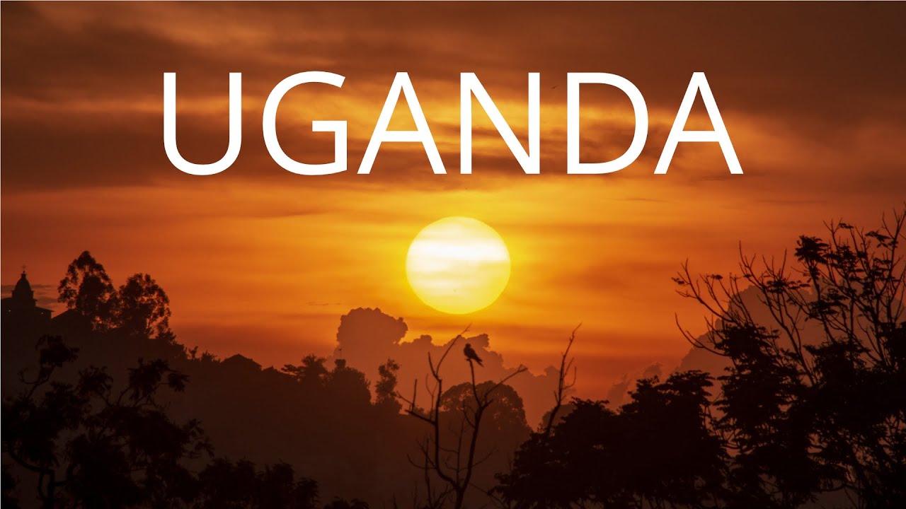 WORLD INSIGHT Reisen - Uganda