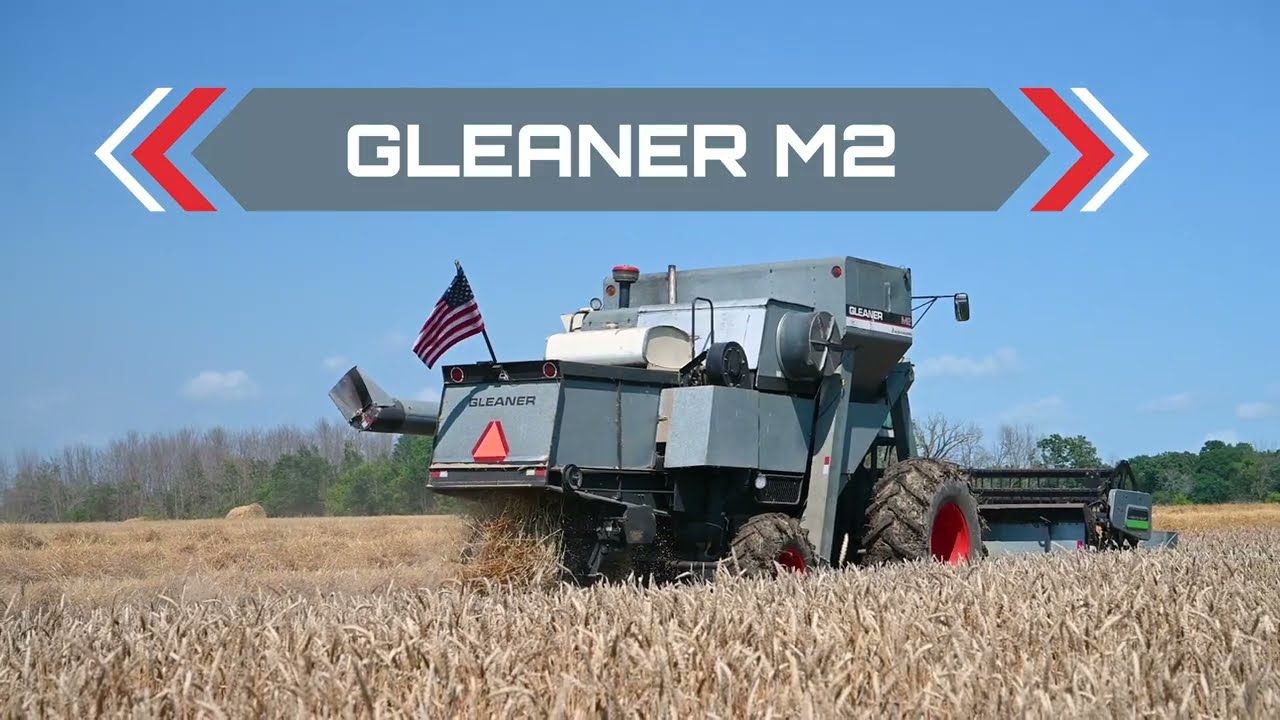 Gleaner M2 doing wheat in Wisconsin