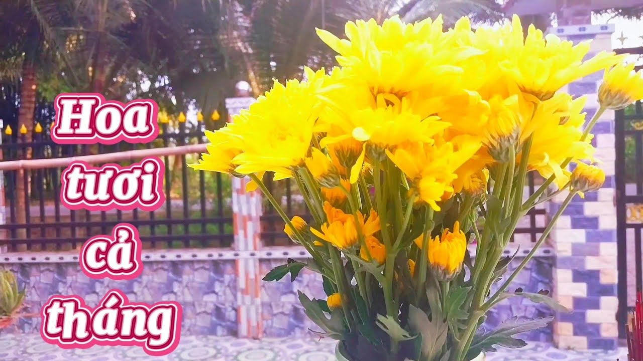 Chỉ Cần Cho Thứ Này Vào Hoa Tươi Lâu Cả Tháng Nước Không Hôi