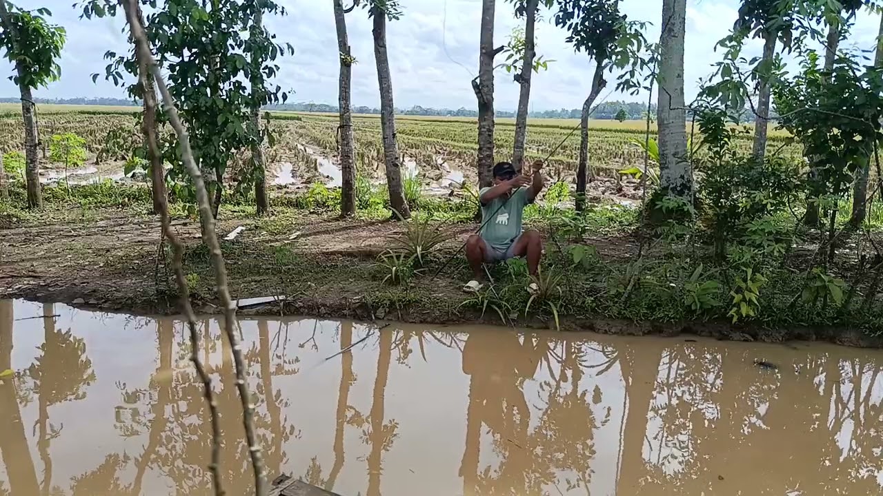 Mancing nila di kolam haji ani