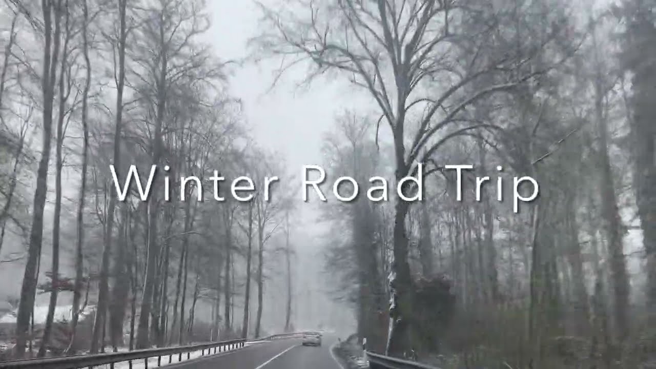 Snowy Landscapes on a Road Trip 