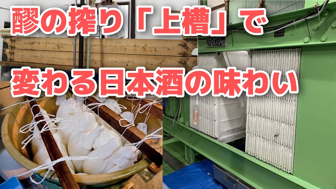 【日本酒の勉強】醪を搾る「上槽」で味わいも変わる？【第12回 醪の搾り「上槽」】
