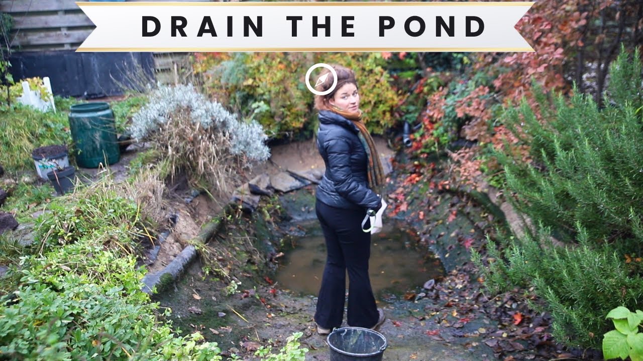 #6 Draining & Filling the Pond with Soil for the Future Garden