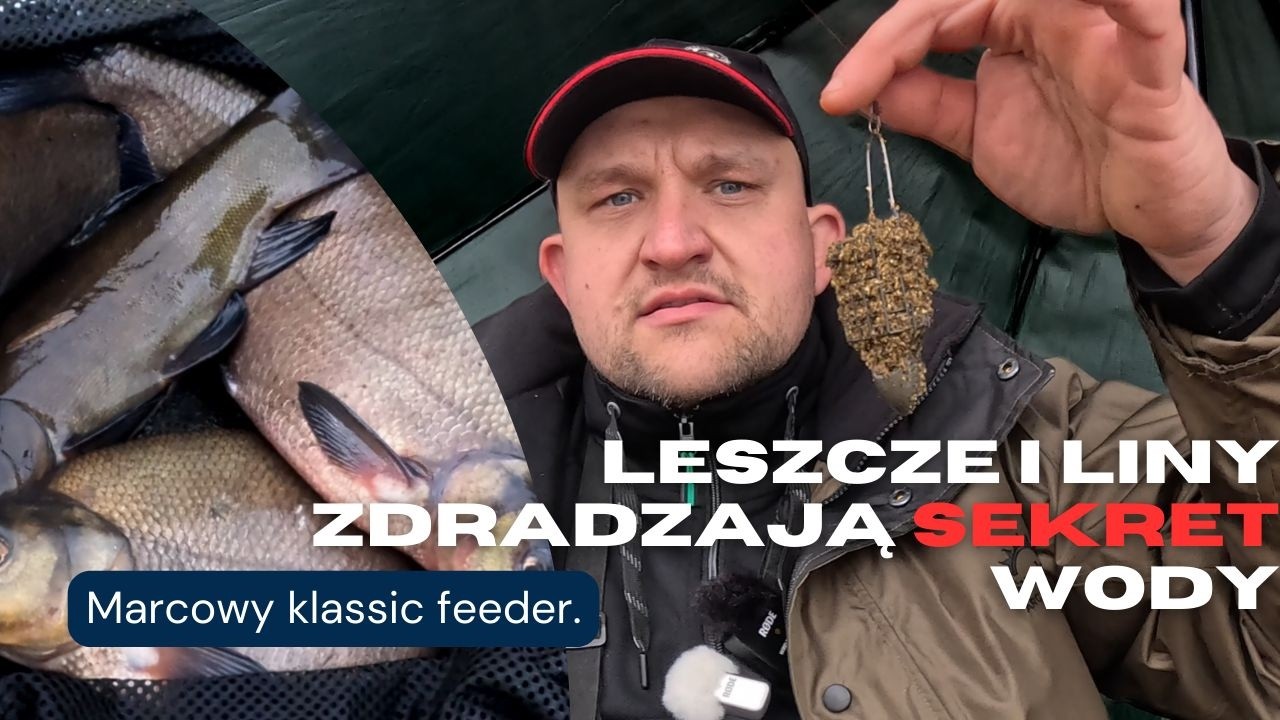 jak łowić Leszcze i liny na Klassic Feeder w marcu