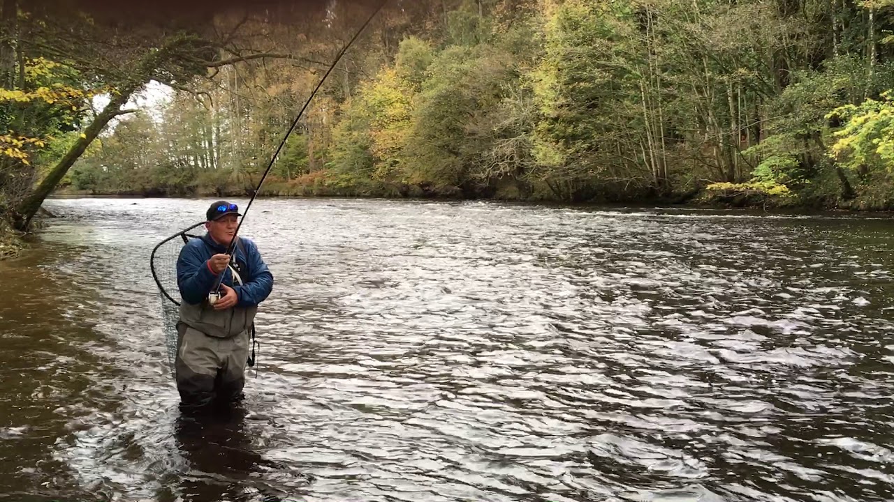 River Ure Salmon Fly Fishing - Swinton Estate