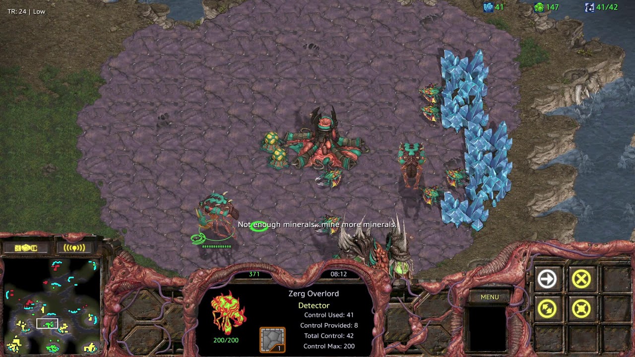 26.1.18(일) 메이 스타팀플 헌터 스타크래프트 Starcraft