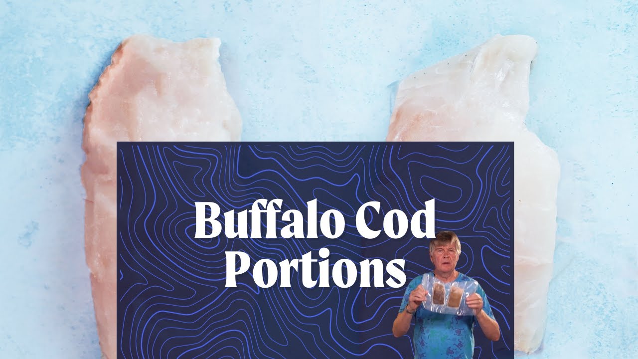 Buffalo Cod Alistair video