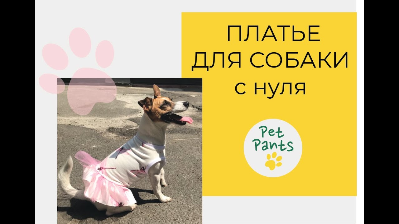 Платье для собаки. Строим лекало и шьем. Dog's clothes DIY