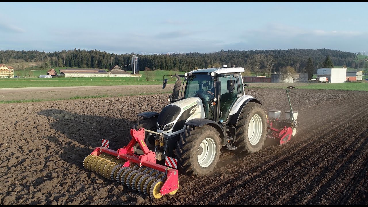Maissaat mit weissem Valtra, Tulip Kreiselegge und Kinze S&auml;maschine