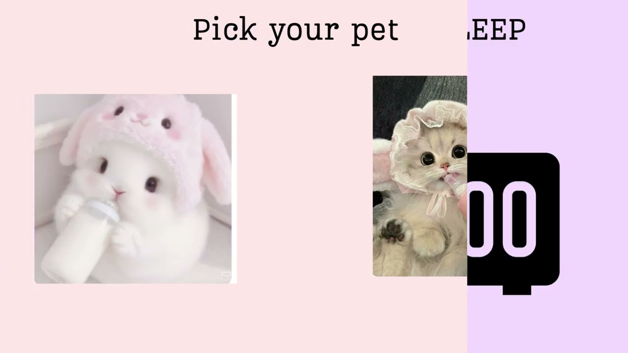 quiz