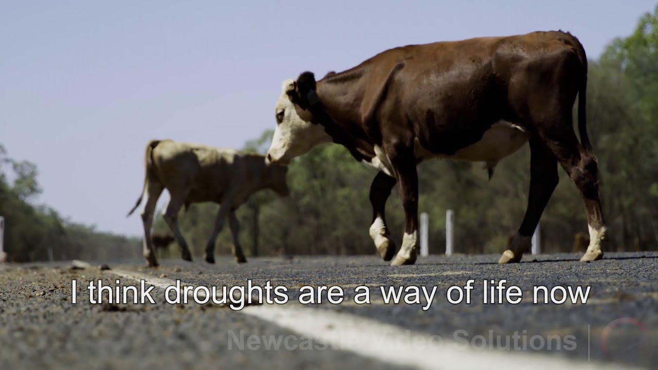 How Drought affects Droving - Droving Ahead