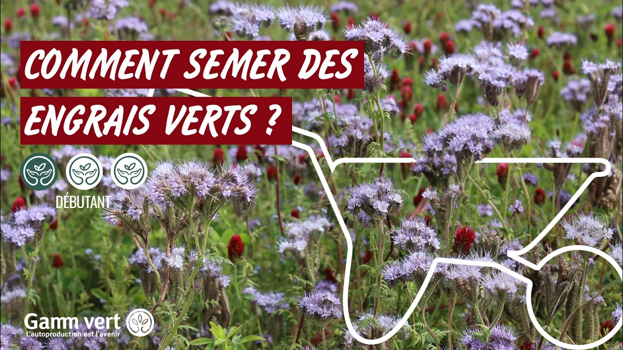 [TUTO] Comment semer les engrais verts ? &ndash; Jardinerie Gamm vert