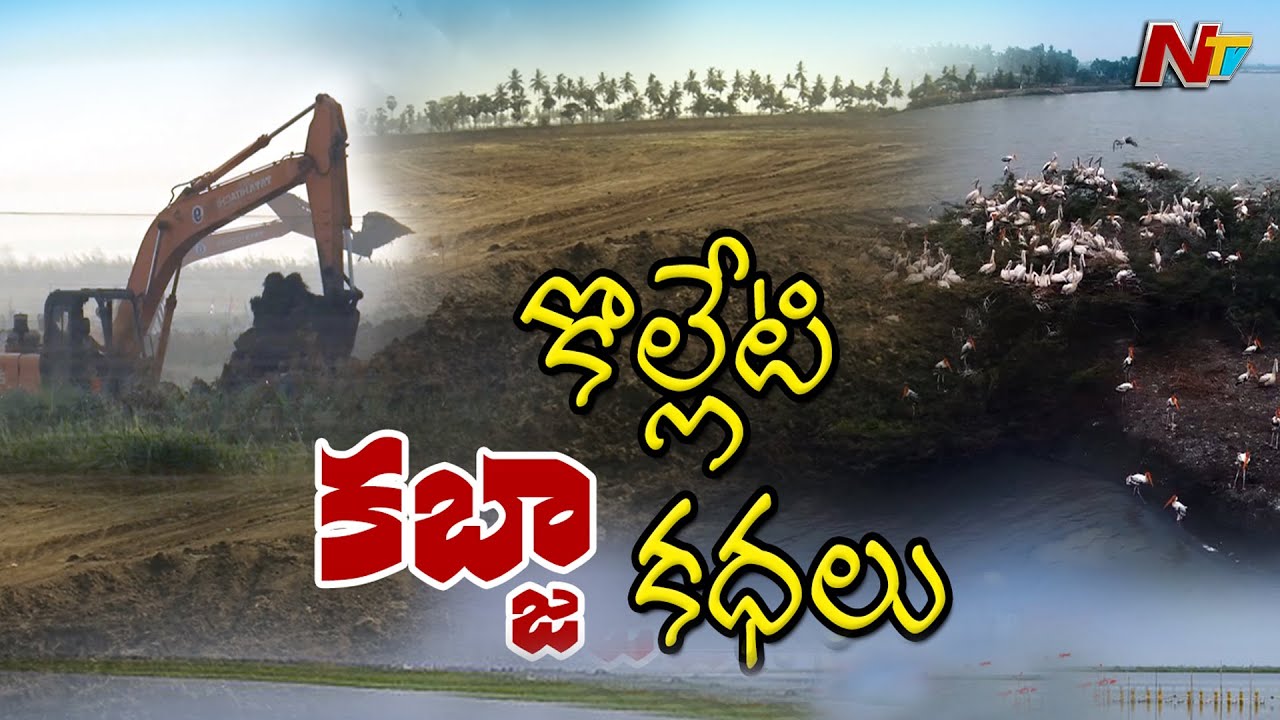 ప్రమాదపుటంచున కొల్లేరు అభయారణ్యం..వందల ఎకరాల్లో అక్రమంగా చేపల చెరువుల తవ్వకాలు l Special Focus l NTV
