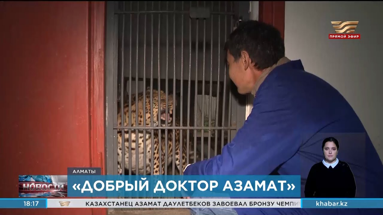 Ветеринар работает в Алматинском зоопарке уже 25 лет