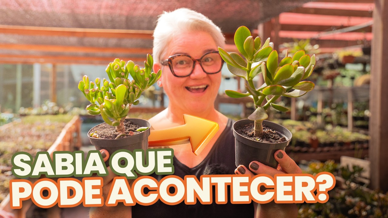Jade com mutação revertida?