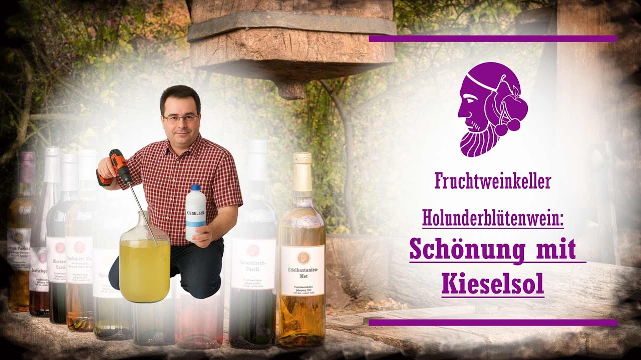 Holunderbl&uuml;tenwein: Kieselsolsch&ouml;nung