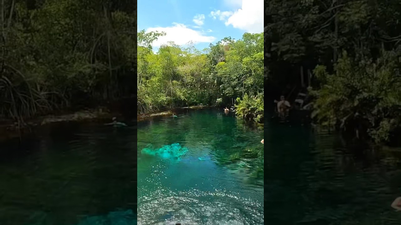 #cenotes #cancun #riveramaya #bikini