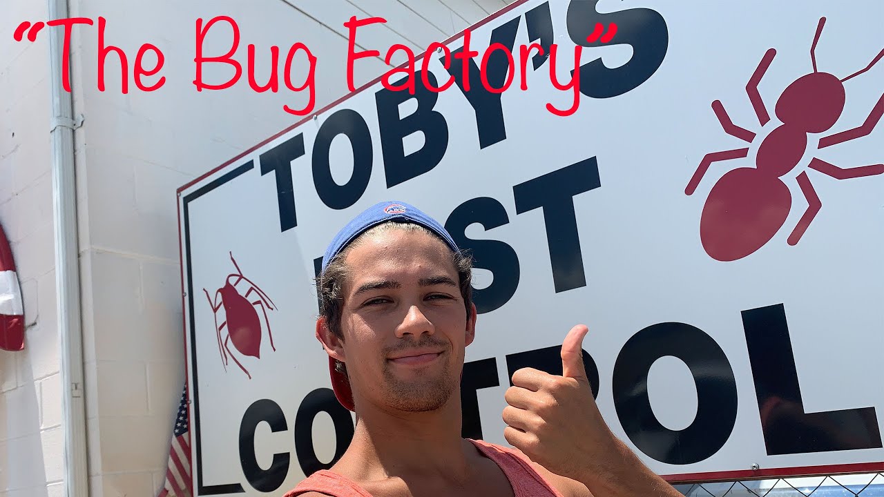 Pest Control Office Tour - Behind the Bugs