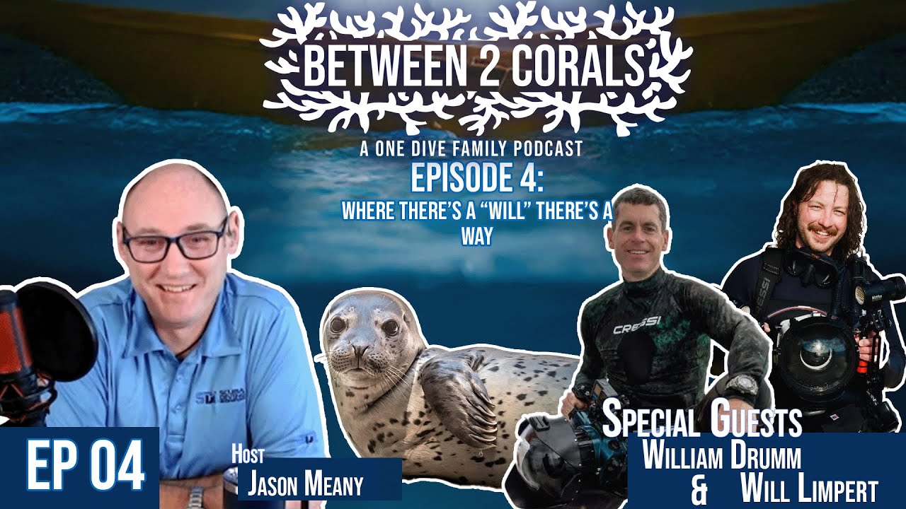 Between Two Corals - Episode 4: Where There's a 'Will,' There's a Way