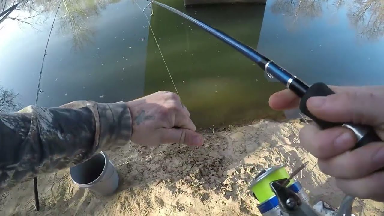 FISHING W/HALF A SKIPJACK 