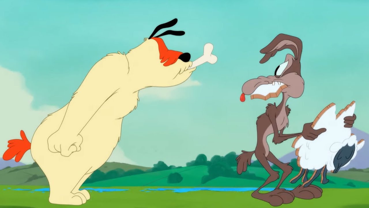 Funny Moments with Wile E. Coyote | Looney Tunes Cartoons | Cartoon Network Asia
