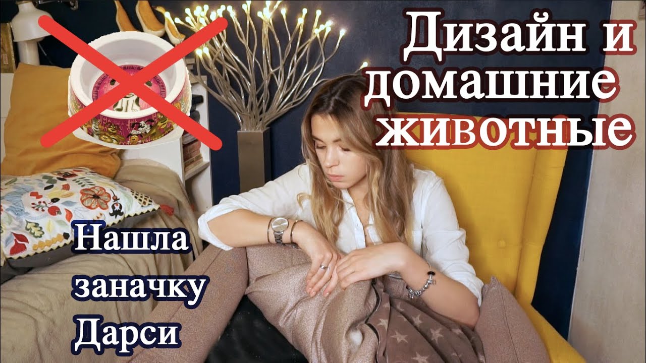 Дизайн интерьера и домашние животные | Живодерство во спасение мебели | Крутые товары для животных