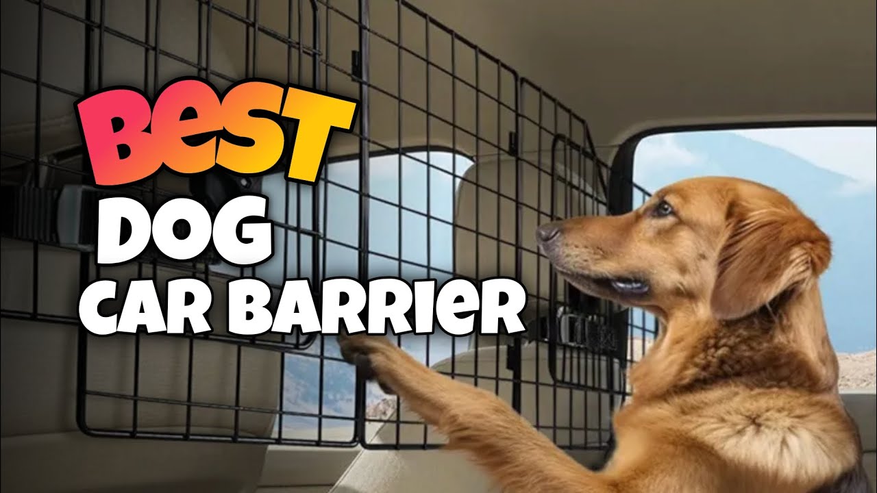 TOP 3:✅Best Car Barrier for Dogs 2026-2027 #carbarrier #barrier #dogbarrier #dogsafety #dogcare 
