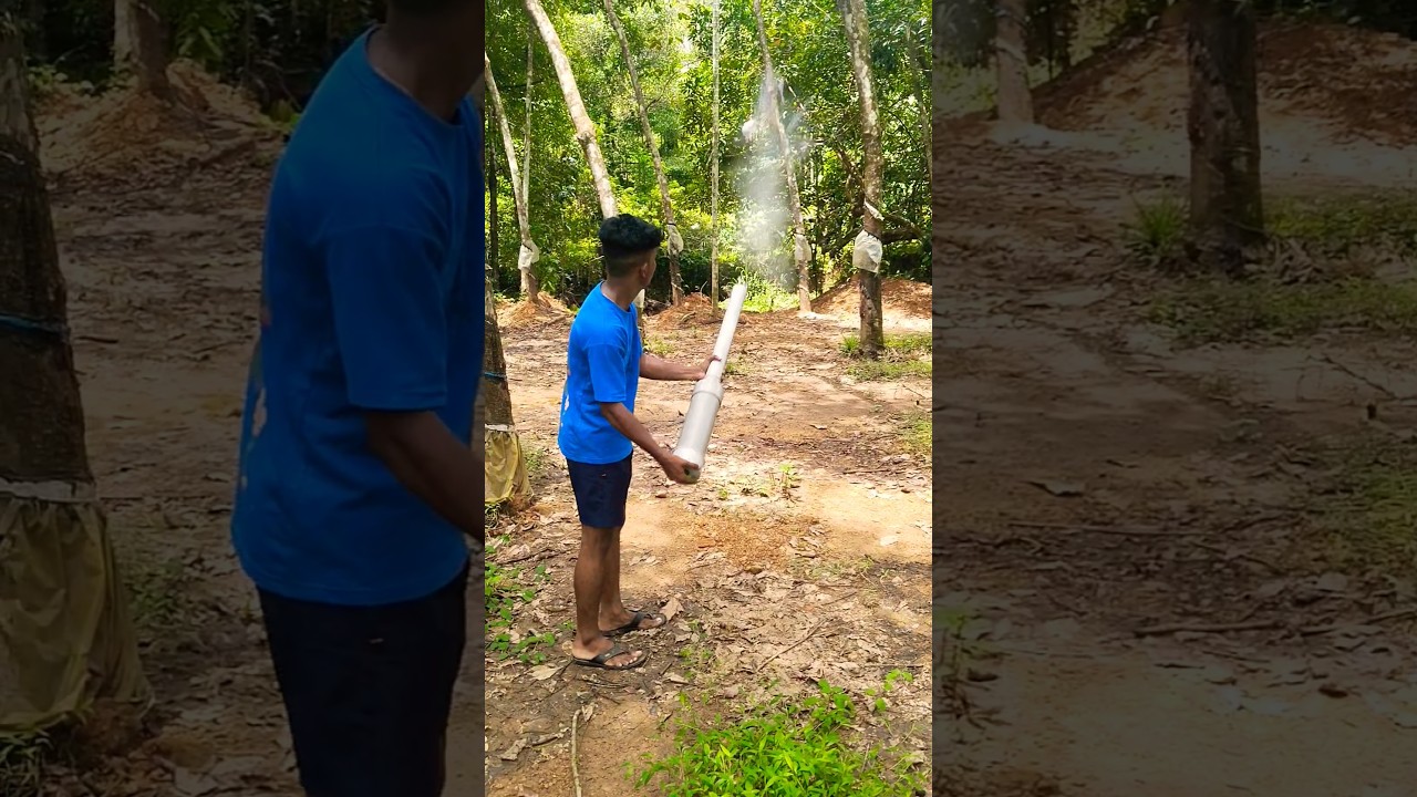 Monkey gun|how to scare monkeys|agriculture hacks #monkeygun