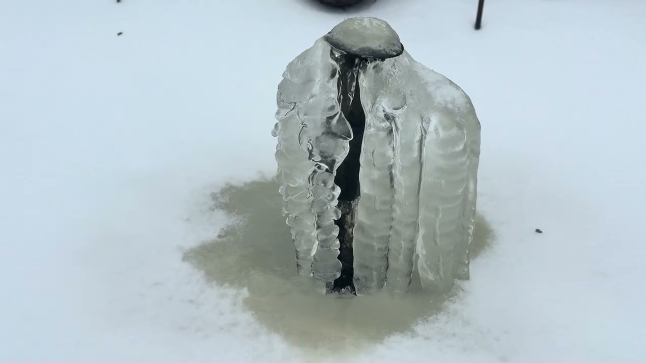 Snow day! Part 2 1/25/26