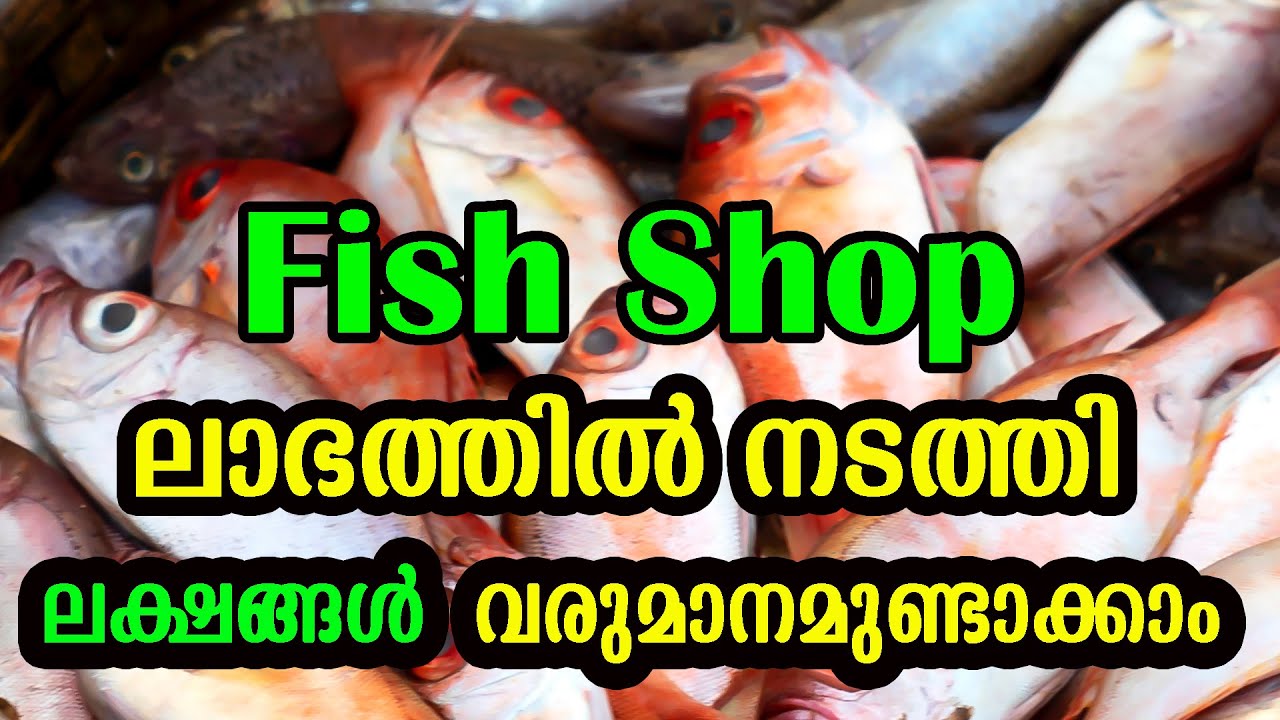 ലക്ഷങ്ങൾ വരുമാനമുണ്ടാക്കാൻ പറ്റുന്ന ഫിഷ് റീടൈലിങ് ബിസിനസ്സ്  | Fish Retail Shop Business Malayalam