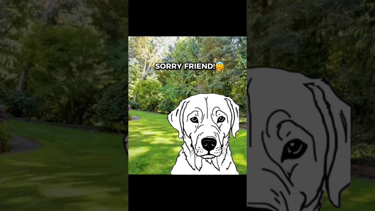 Brave Dog Protects Owner, But at a Cost 🐕❤️😢&hellip;#shorts