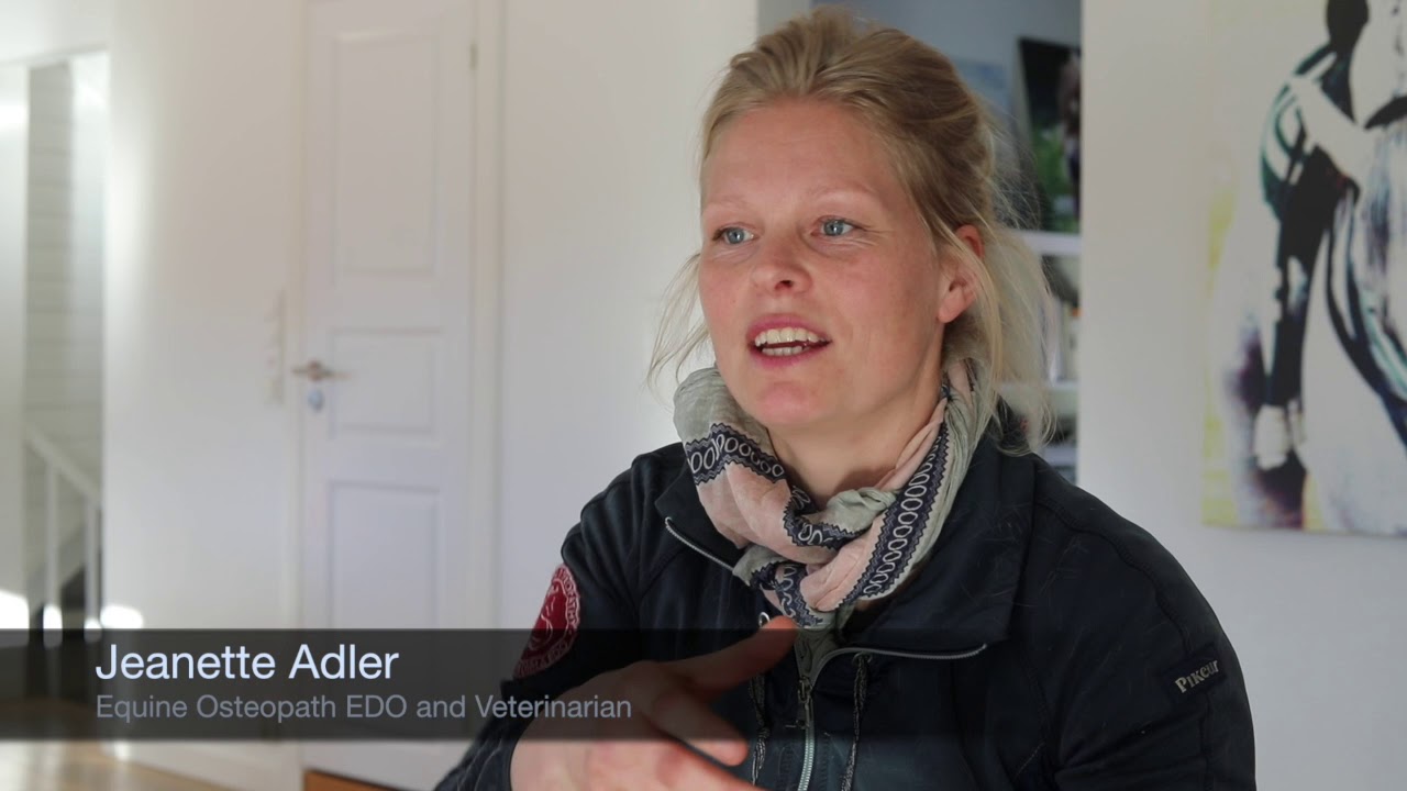 Equine Osteopath Jeanette Adler